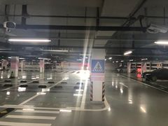 -上海海昌海洋公园-停车场