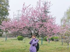 -西安外国语大学(长安校区)