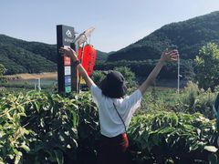 -慢丽江·云南野生菌土鸡锅(西山店)