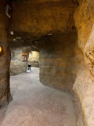 -酷嗒动物文化乐园(cutezoo西溪乐天城店)