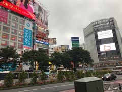 -涩谷区