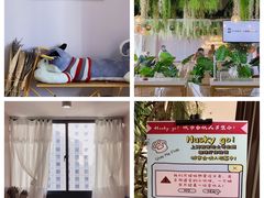 -Husky Go! 哈士奇体验馆·宠物咖啡厅狗咖