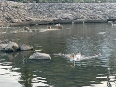 -鹿亭中村