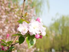 -元大都城垣遗址公园