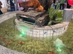 -万达广场(齐齐哈尔建华店)