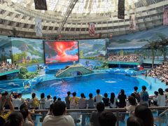 -海合安成都极地海洋公园