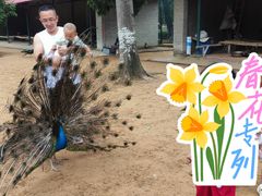 -秦皇岛野生动物园