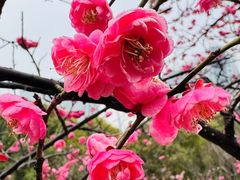 -艾溪湖湿地公园