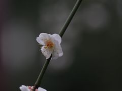 -静安雕塑公园