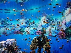 -海合安成都极地海洋公园