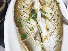 -源水鱼庄·翘嘴鲌店·老字号