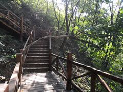-大岭沟猕猴桃谷风景区