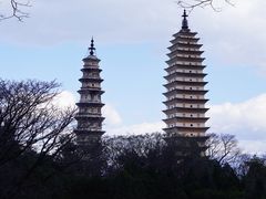 -崇圣寺三塔文化旅游区