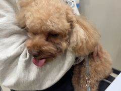 -圣宠动物医院·犬猫专科·影像中心·外科中心