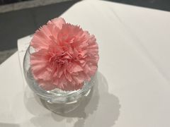-眉州东坡(北苑华贸店)