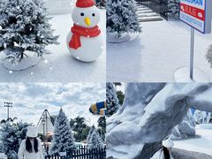 -汕头中海黄金海岸水上乐园