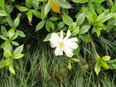 -成都杜甫草堂博物馆