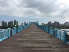 -五缘湾湿地公园
