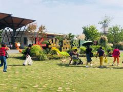 -上海长兴岛郊野公园