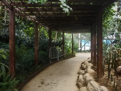 -祥源·阜阳生态乐园