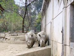 -成都动物园
