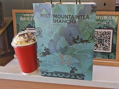 -雾与山茶(大禹城店)