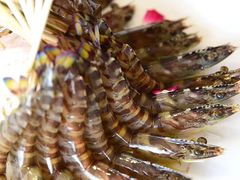 -锅贴王海鲜小馆