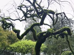 -岳王庙