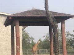 -石家庄市动物园