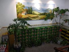 -鑫悦楼煎蟹·16年海鲜大排档