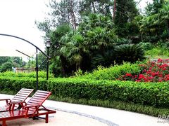201105杨梅岭123-杭州千岛湖开元度假村