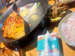 -阳阳老火锅(小南门店)