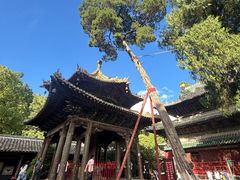 -报恩寺(平武县)