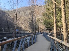 -白水寺森林公园