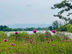 -翠湖国家城市湿地公园