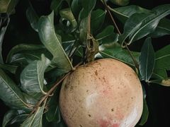 -丝路驿站(丽都店)