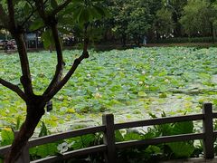 -云溪植物园