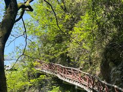 -鹿院坪生态旅游景区