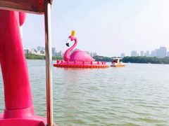 -天津水上公园