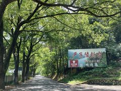 -严子陵钓台(富春江小三峡)