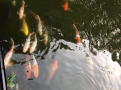 -珠海圆明新园