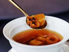 鸡枞菌野竹笙炖花胶-子福慧(虹桥店)