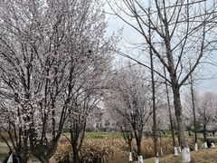 -两河城市森林公园