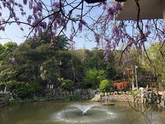 -郑和公园