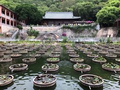 -石峰岩寺