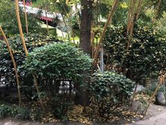 -香园自助小火锅