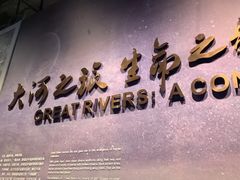 -长江文明馆