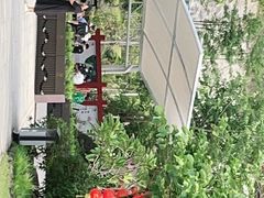 -广州白江湖森林公园