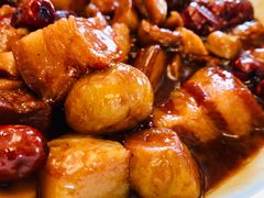 -金蝉食府(维吉奥广场店)