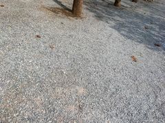 -北京乐谷